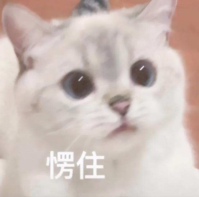 yy什么意思网络流行语，现在网络上的yy是什么意思