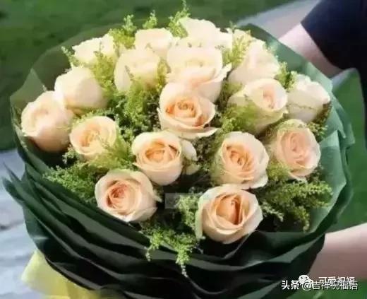 情人节送闺蜜什么礼物今天情人节，99玫瑰送给群里朋友，祝你们情人节快乐，