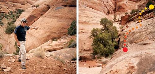 APEX辅助野外跑步如何绝地求生？来看两位大神的离奇故事31卡盟