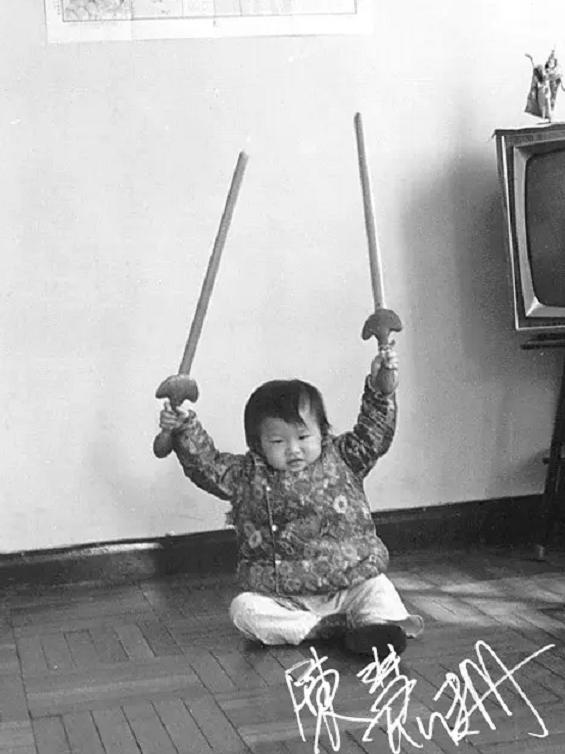 陳慧珊：與相愛13年的丈夫離婚，轉身愛上伏明霞老公，結局如何？ 娛樂八卦吃瓜 第5张