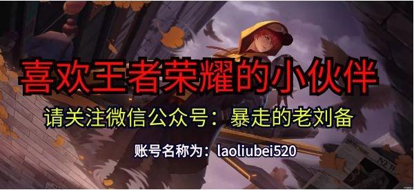 王者荣耀：暗信加强，统领对抗路！风暴龙王史诗加强