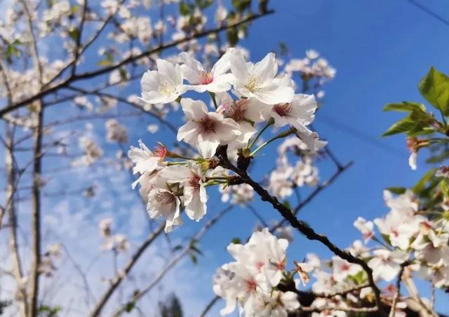 霞浦旅游必去景点介绍，霞浦这6个踏青好去处推荐