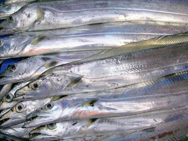 中秋家宴，把這5種海魚端上餐桌，營養高價格低，待客也倍有面子 熱愛美食 第3张