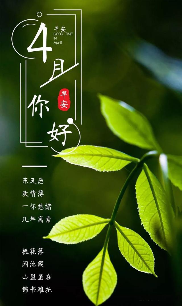 四月早安心语正能量句子语录，四月励志图片文字