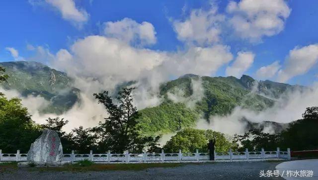 柞水县旅游必去的景点，柞水这几个景点踏青正好