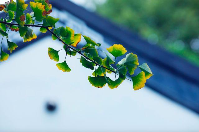 晚安心语180407:虽然痛苦，却依然要快乐，并相信未来