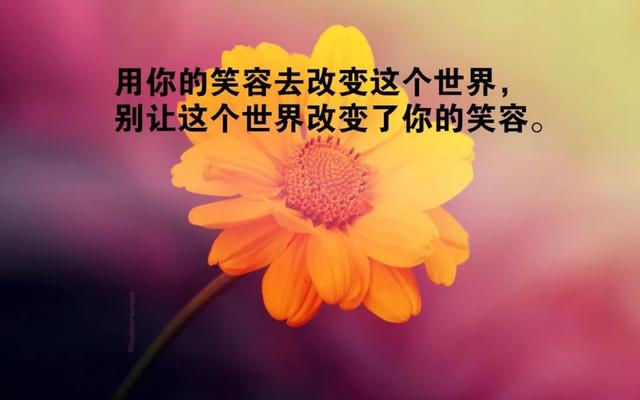 早安心语正能量180515：不敢经历风雨的洗礼，又怎能见到彩虹的绚丽
