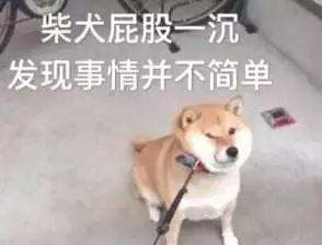 中国物联网数字货币CDC（新骗局！一分不投两年赚2400万 至少数百人已入群）
