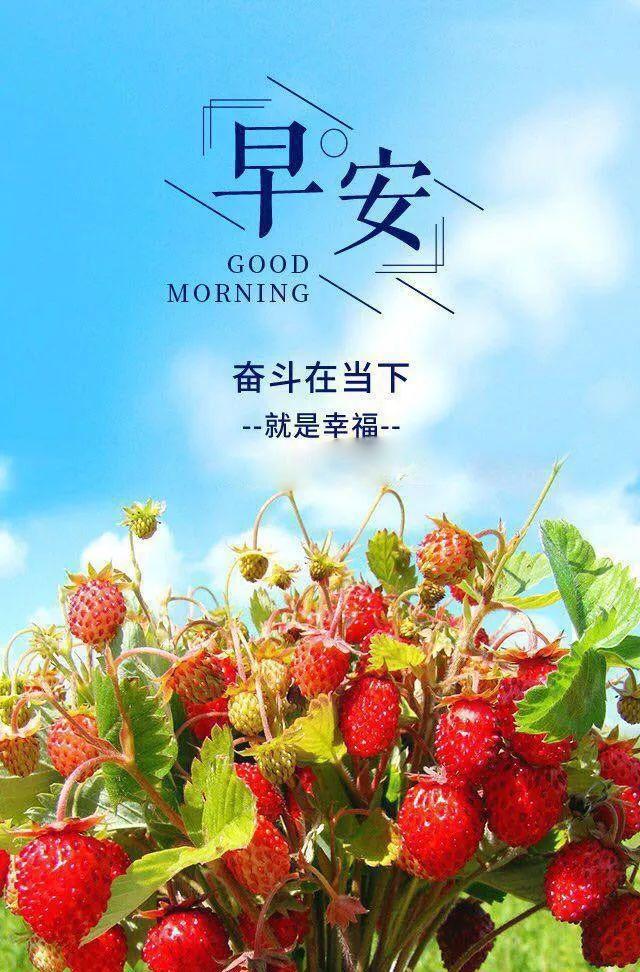 正能量早安心语180608：以足够努力的现在，换取心之向往的未来