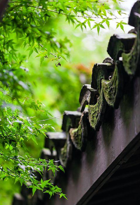 晚安感悟180605：平常心对平常事