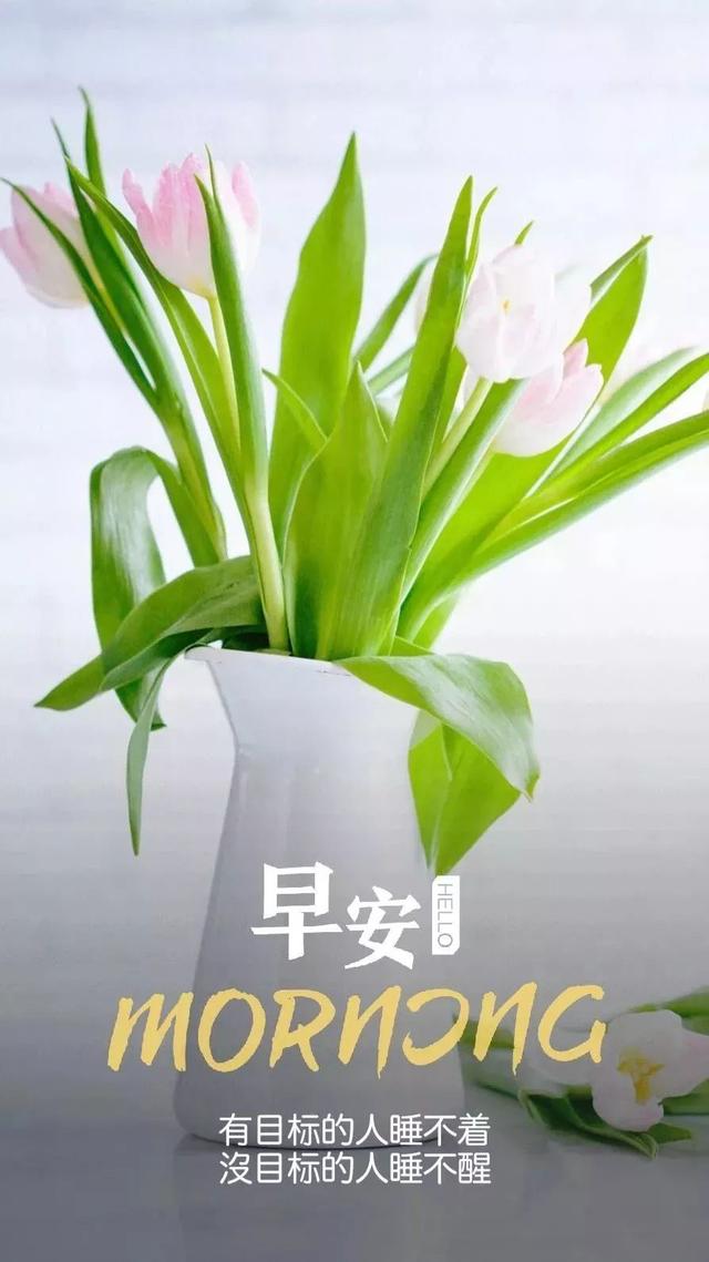早安励志日签180605：不为昨天叹息，只为今天更美好
