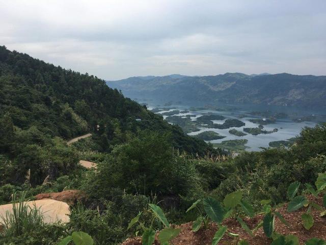 仙岛湖自助旅游攻略，黄石仙岛湖/天空之城 怎么玩