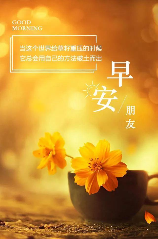 正能量早晨好语录说说：用最少浪费面对现在，用最多梦想面对未来