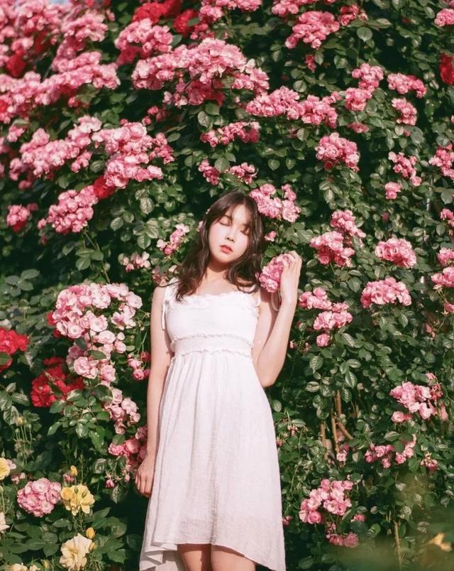 晚安句子180715：你陪着我的时候，我从没羡慕过任何人