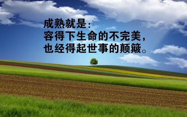 早安正能量阳光语录190326：努力把日子都填满，善待珍惜自己