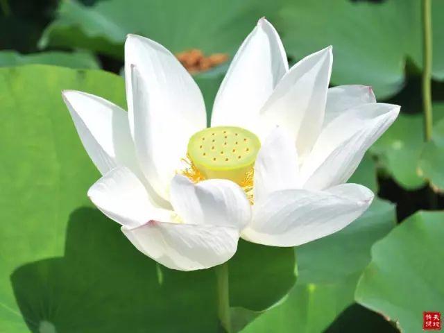 晚安的句子180723：好的爱情，永远是两个人的努力