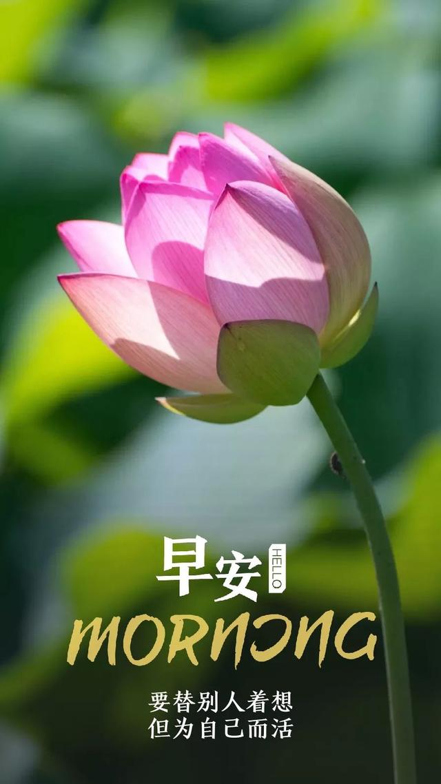 早安日签励志180724：最困难的时候，就是最接近成功的时候
