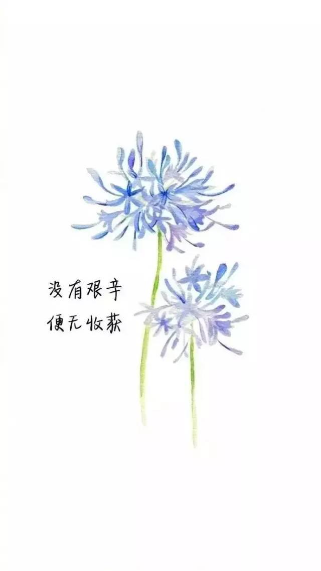 周二正能量带图早安心语：要活得扬眉吐气，一身傲气