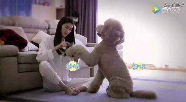 七夕送女朋友什么礼物_3