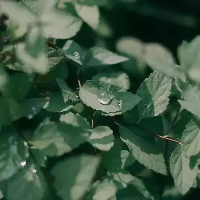 晚安感悟180808：人穷不能志短，钱少不要高攀