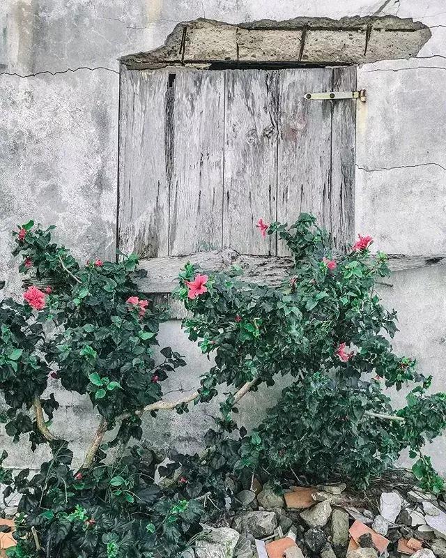早安感悟180811：最傻的事，就是自己生闷气