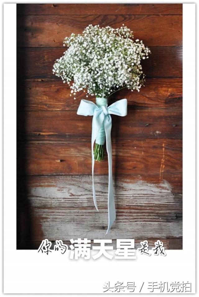情人节送玫瑰花图片七夕节送你16张心意“表白卡”｜16朵暗藏心意的花语，你