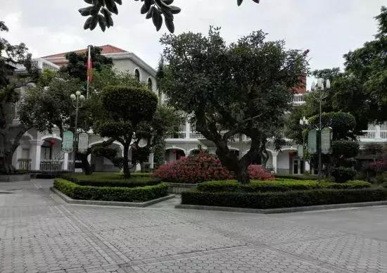 鼓浪屿风琴博物馆，鼓浪屿旅游最全攻略（数着网红打卡地玩转鼓浪屿）