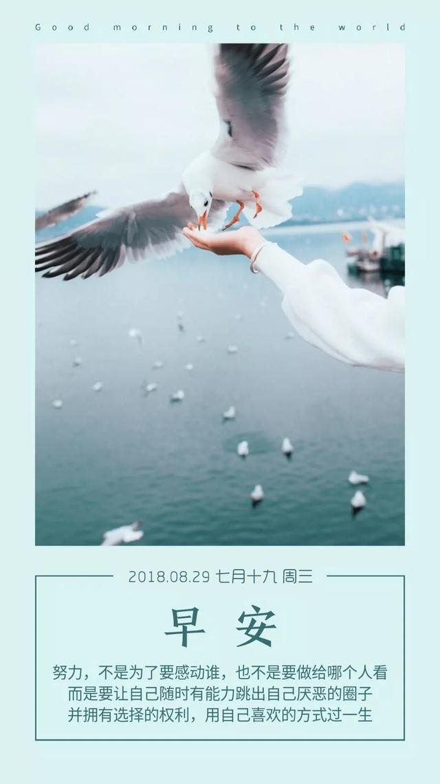 早安日签正能量180829：希望你眼眸有星辰，心中有山海