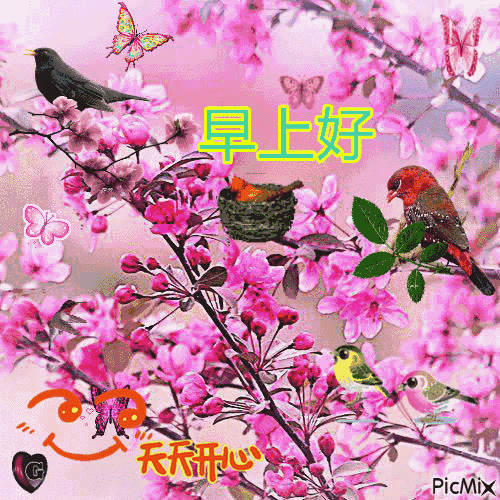 早上好问候语加图片带字