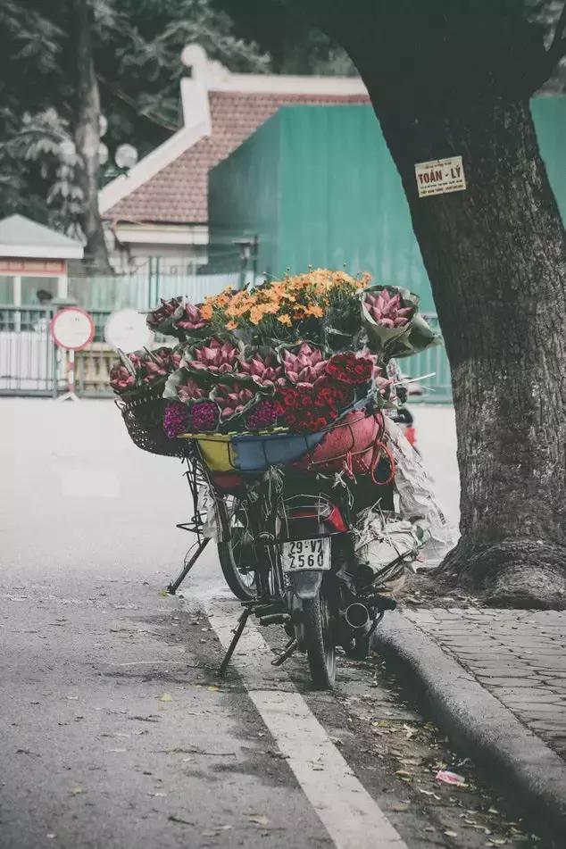 晚安经典说说10927：一帆风顺叫幸运，跌倒爬起叫人生
