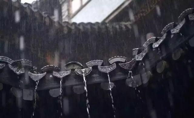 午安心语图片180930：不做玫瑰，要做你心上野草