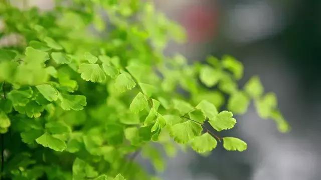 晚安好句子181001：总想把世界上最好的都给你，却发现最好的就是你