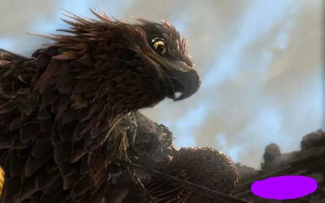 现存最接近凤凰的鸟,上古十大神鸟凤凰排第四 现存最接近凤凰的鸟,上古十大神鸟凤凰排第四