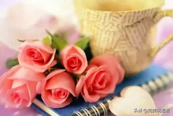 七夕送什么礼物好今日情人节，2.14玫瑰送给亲爱的朋友，祝你们情人节快乐