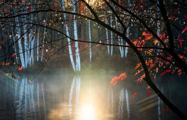 关于秋分的诗句（10首最美的秋分古诗词）