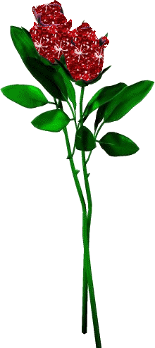 情人节送男友礼物今日情人节，9999玫瑰花送给你