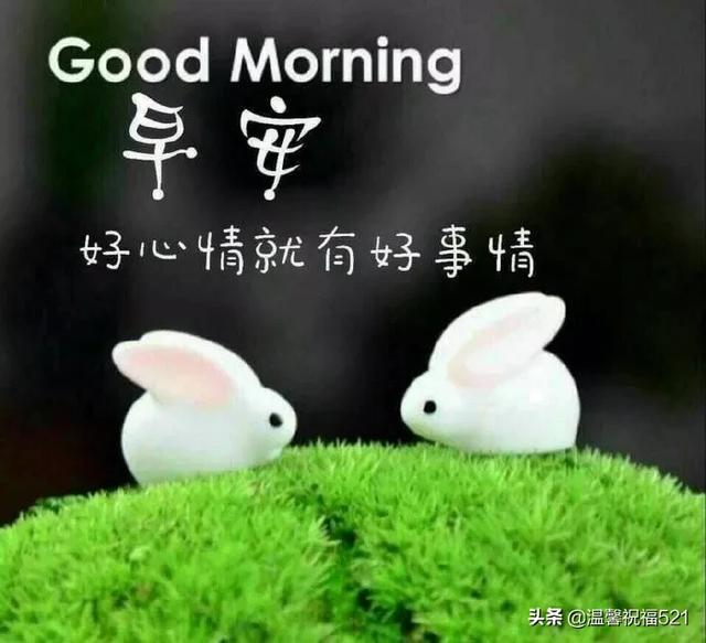 幸福的早晨,从问好逐渐!