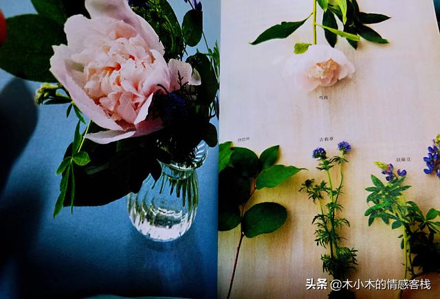 用10根棒棒糖制作花束 棒棒糖花束的寓意66颗