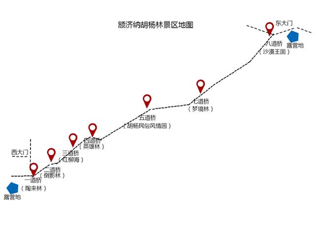 游额济纳胡杨林最佳时间，额济纳胡杨林最佳观赏期来了