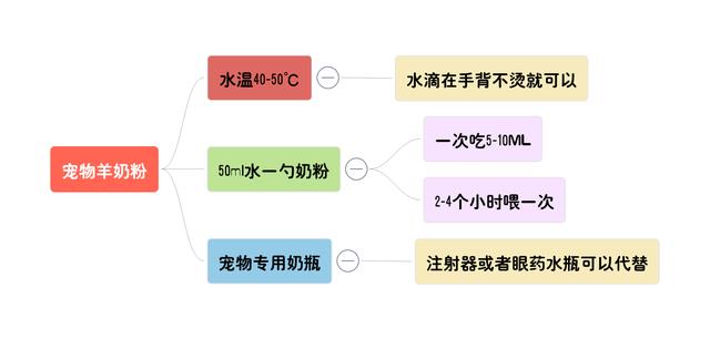 剛出生一個星期的幼犬如何飼養，這5個餵養知識主人需要掌握 萌趣萌寵 第7张