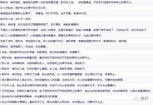 世界所有的蛇到底是什么样子呢，人类眼中的蛇是这样的