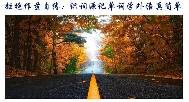 礼物类的英语单词 礼物英语单词的复数