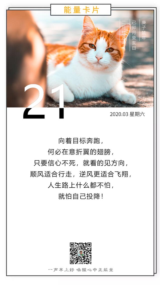 周末早安日签图片正能量带文字：顺风适合行走，逆风更适合飞翔