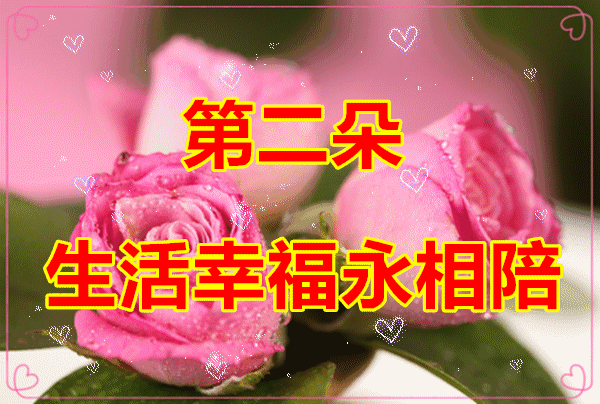 情人节送啥给女朋友明天2.14情人节，9朵爱的玫瑰送给在乎的你，愿你开心幸福