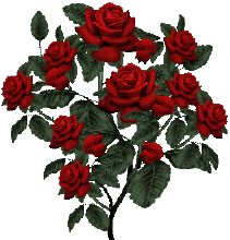 情人节送玫瑰花的含义5201314， 送你999玫瑰花，祝你爱情甜甜蜜蜜