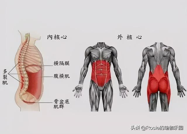 38歲逆襲蠻腰翹臀，認准身形，超模私教帶你4步雕刻S曲線 健身減肥達人 第14张