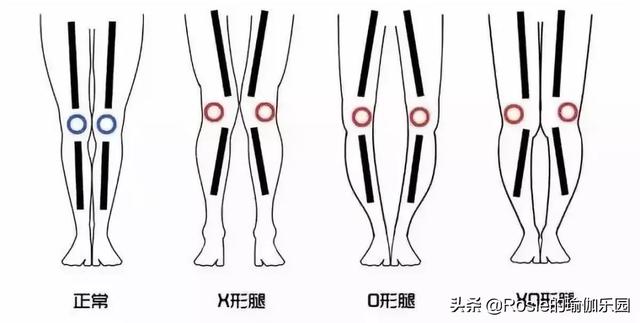 1周腿圍縮了5cm？這樣做真的可以瘦腿？你缺這套超模同款美腿課 健身減肥達人 第9张