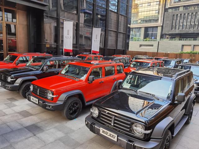 中国人自己造的越野车，它能有多好？|试驾WEY坦克300