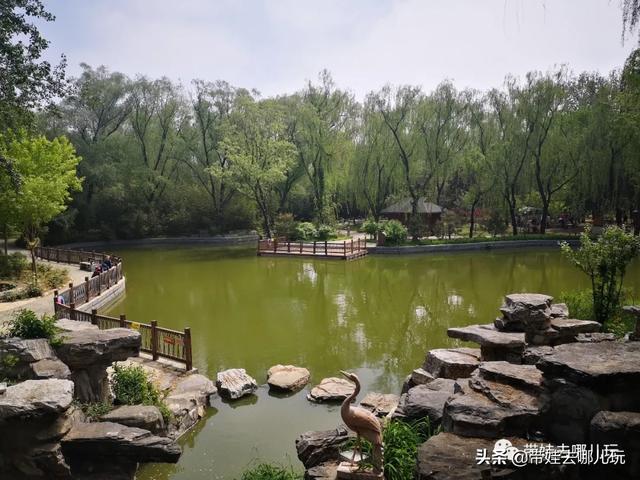 南宫旅游十大必去景点，假日乡村打卡丨夏日来南宫看民族主题花车巡游