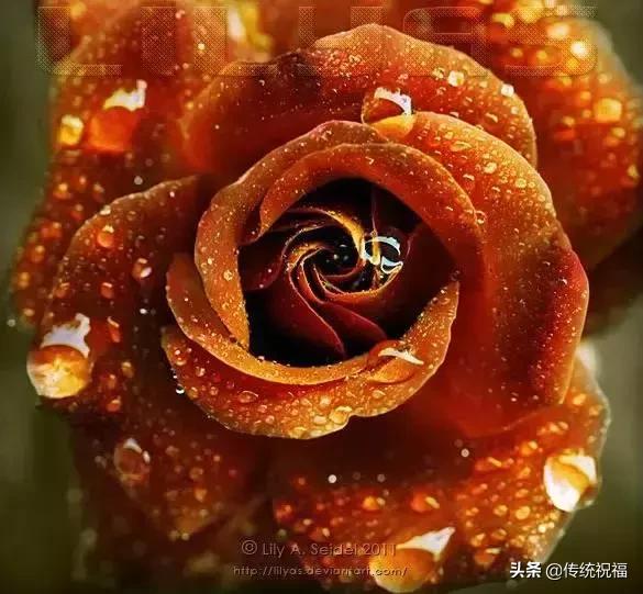 今年情人节流行送什么明日七夕情人节，999999玫瑰花送给群里所有朋友！谁打开